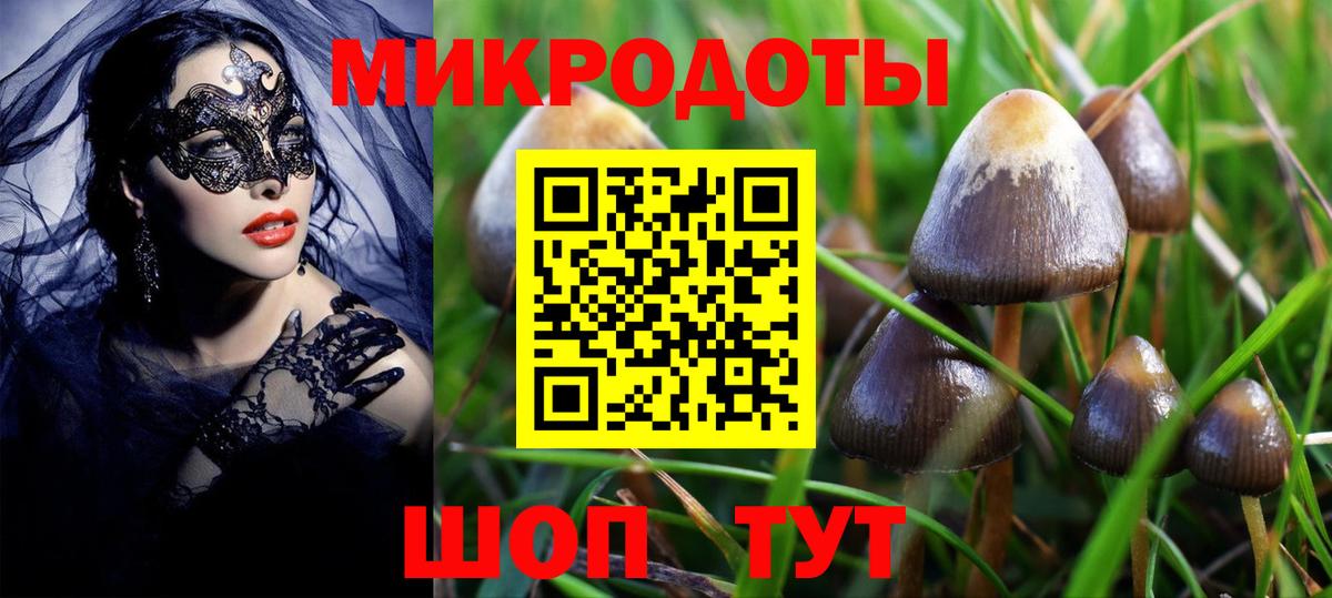 Красноярск  Галлюциногенные грибы ЛСД  Галлюциногенные грибы Psilocybe  где можно купить наркотик  Вход с VPN 